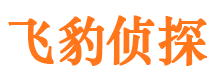 江华侦探公司